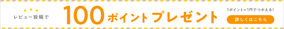 レビュー投稿で100ポイント